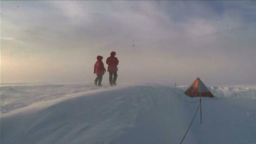 Catalyst Season 16 Episode 1 - Polar People, Plant Based Medicine