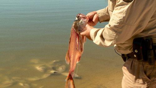 Lone Star Law Season 2 Episode 6 - Border Bust