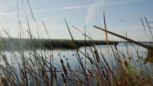 Wisconsin Foodie Season 8 Episode 11 - Duck Hunt | The Natural Way