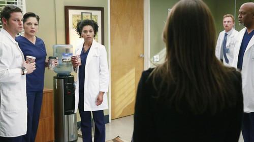 Grey's Anatomy Season 11 Episode 22 - She's Leaving Home