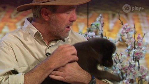 Russell Coight's All Aussie Adventures Season 3 Episode 2 - Episode 2