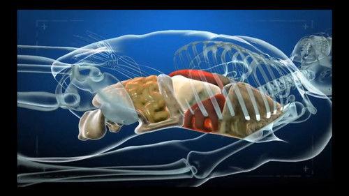 1000 Ways to Die Season 3 Episode 23 - Mister Death