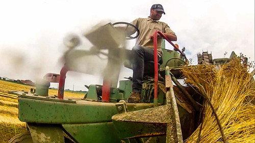 How Do They Do It? Season 11 Episode 9 - Canvas. Stinky Tofu. Bottle Recycling