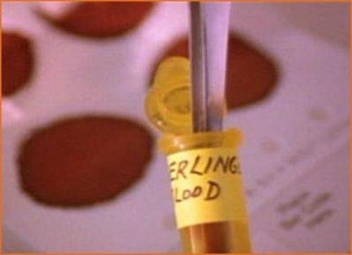 NOVA Season 27 Episode 3 - The Killer's Trail