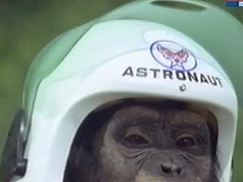 Daktari Season 3 Episode 1 - Judy and the Astro-Chimp