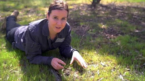 Gardening Australia Season 32 Episode 7 - Episode 7 Edible Petals, Stem Cuttings & Oz Wildlife