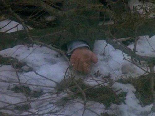 Background image for By Hooker, By Crook