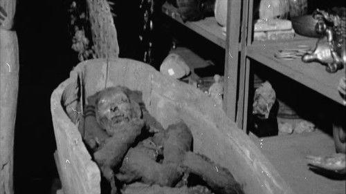 The UnBelievable with Dan Aykroyd Season 3 Episode 8 - Unusual Pastimes