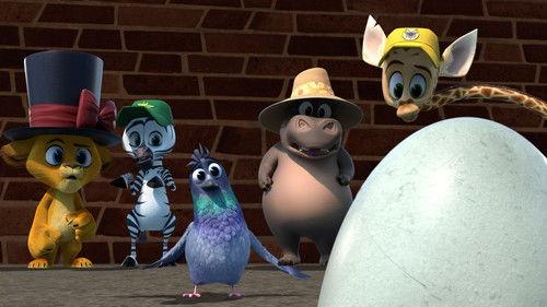 Madagascar: A Little Wild Season 7 Episode 1 - The Pigeon and the Egg