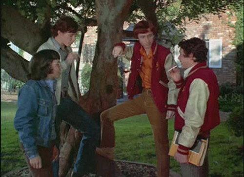 The Brady Bunch Season 2 Episode 14 - Where There's Smoke