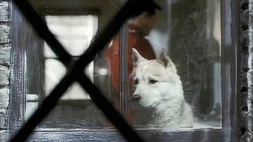 Due South Season 1 Episode 15 - The Wild Bunch