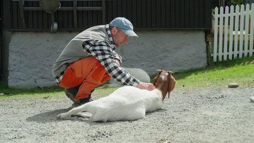 Farmen Kjendis Season 8 Episode 2 - Episode 2