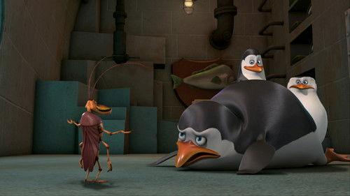 The Penguins of Madagascar Season 2 Episode 12 - Stop Bugging Me