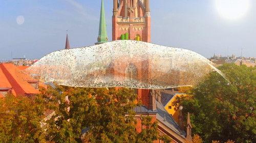 Scooby-Doo's Natural Mysteries Season 1 Episode 6 - Episode 6