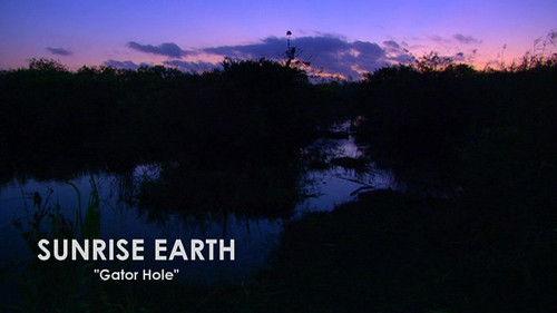 Sunrise Earth Season 1 Episode 3 - Gator Hole