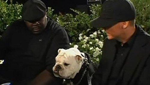 Rob & Big Season 3 Episode 11 - Meaty's Birthday