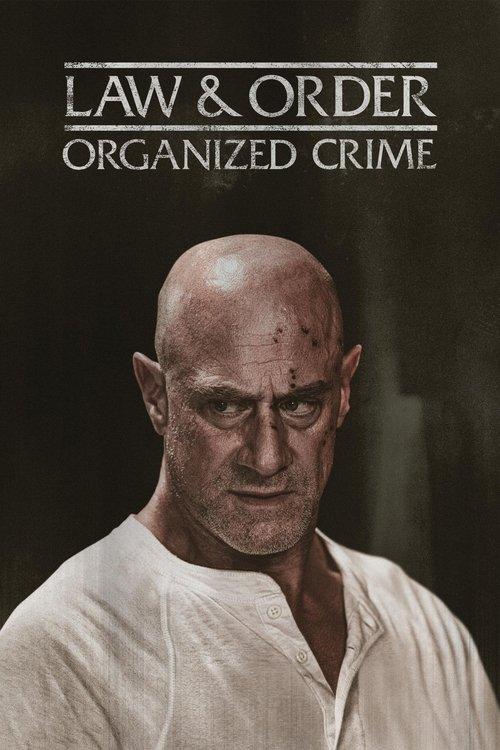 Law & Order: Organized Crime poster