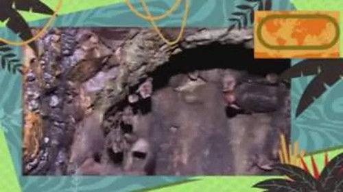 Kukurota Season 1 Episode 9 - Episode 9