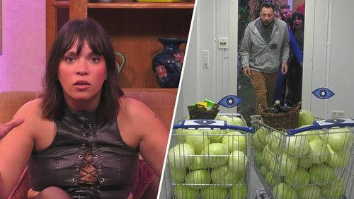 Big Brother - Die Show Season 1 Episode 22 - Episode 22