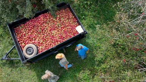 Moonshiners Season 10 Episode 8 - Too Much of a Good Thing