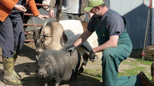 Background image for A Moo York States of Mind