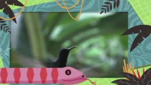 Kukurota Season 1 Episode 13 - Episode 13