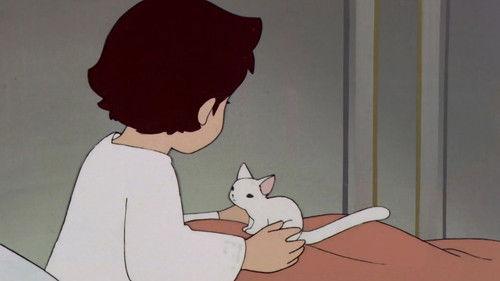 Heidi: Girl of the Alps Season 1 Episode 24 - Meow Is Abandoned