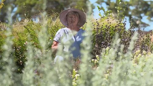 Gardening Australia Season 32 Episode 15 - Episode 15 Autumn Action, Make a Gate & Botanical Brew