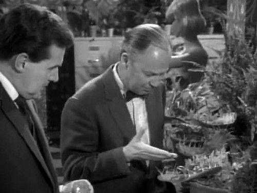 The Avengers Season 4 Episode 11 - Man-Eater of Surrey Green