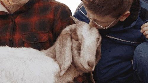 Background image for Hope