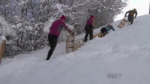 The Amazing Race Season 22 Episode 8 - My Cheese is Out of Control