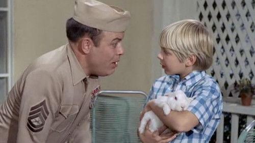 Gomer Pyle, U.S.M.C. Season 5 Episode 27 - Hare Today, Gone Tomorrow