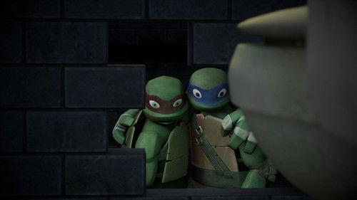 Teenage Mutant Ninja Turtles Season 3 Episode 23 - The Fourfold Trap