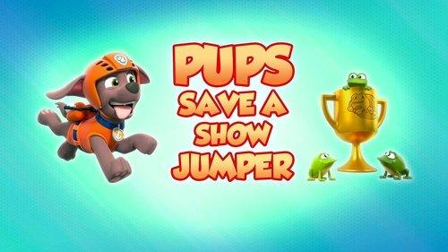 PAW Patrol Season 8 Episode 16 - Pups Save a Show Jumper
