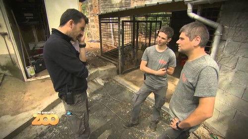 Une saison au zoo Season 4 Episode 7 - Episode 7