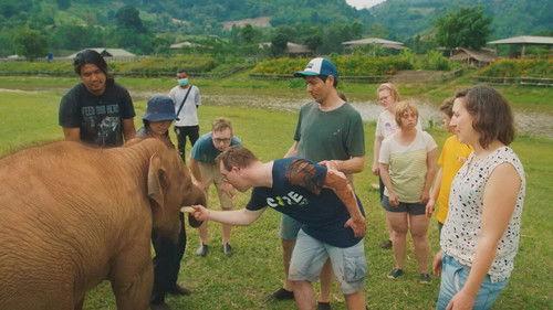 Down the road Season 5 Episode 3 - Episode 3