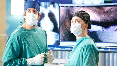 Heartbeat Season 1 Episode 9 - Sanctuary