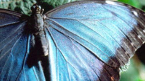 Nature Tech Season 1 Episode 2 - The Material World