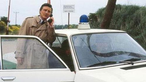 Scene of the Crime Season 12 Episode 11 - Episode 11