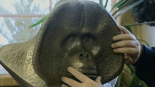 Monkey Business Season 9 Episode 3 - Episode 3