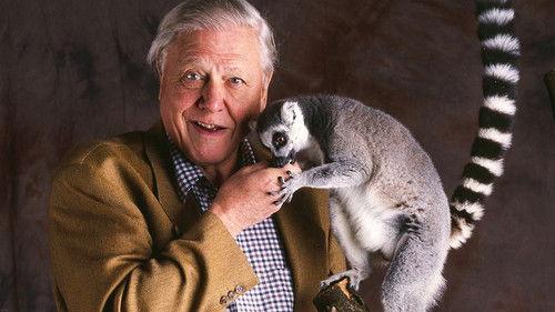 undefined Season 1 Episode 2 - Insect Hunters