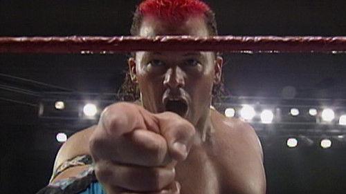 WWF Superstars Season 8 Episode 22 - Superstars - May. 29, 1993