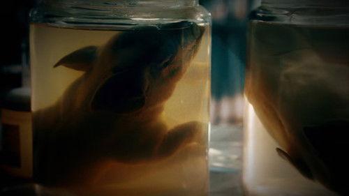 The UnBelievable with Dan Aykroyd Season 3 Episode 6 - Outlandish Ideas