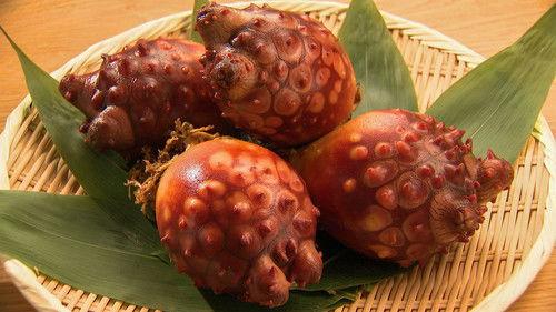 Trails to Oishii Tokyo Season 5 Episode 9 - HOYA