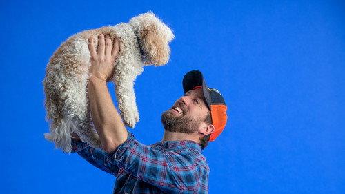 The Wizard of Paws Season 1 Episode 9 - Bear