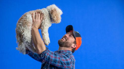 Background image for Bear