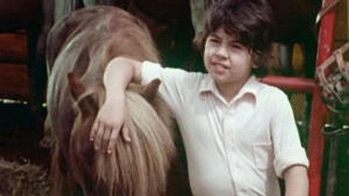 Poly Season 8 Episode 2 - Episode 2