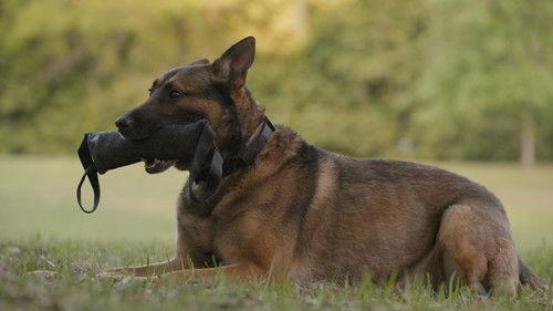 VICE News Tonight Season 7 Episode 14 - Thursday, April 6, 2023