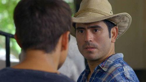 A Family Affair Season 1 Episode 15 - 50/50