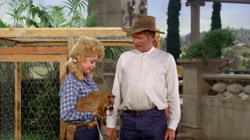 The Beverly Hillbillies Season 4 Episode 2 - That Old Black Magic